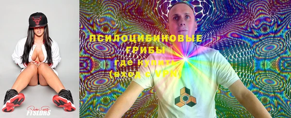 apvp Переславль-Залесский