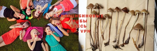 мдма Пестово
