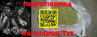 ешки Гатчина