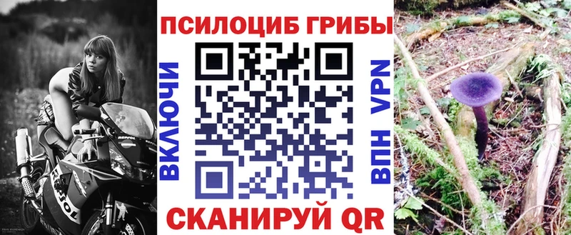 закладки  Дербент  Псилоцибиновые грибы ЛСД 
