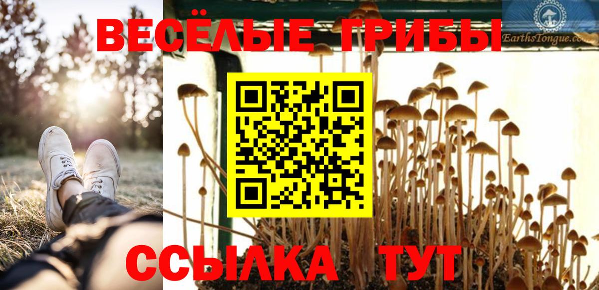 Псилоцибиновые грибы мицелий Дербент